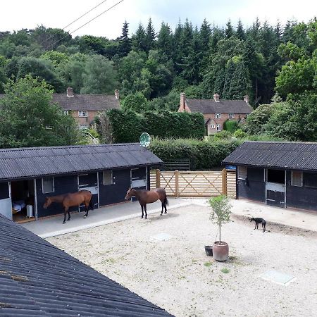 Crockers Farm Villa Доркинг Екстериор снимка